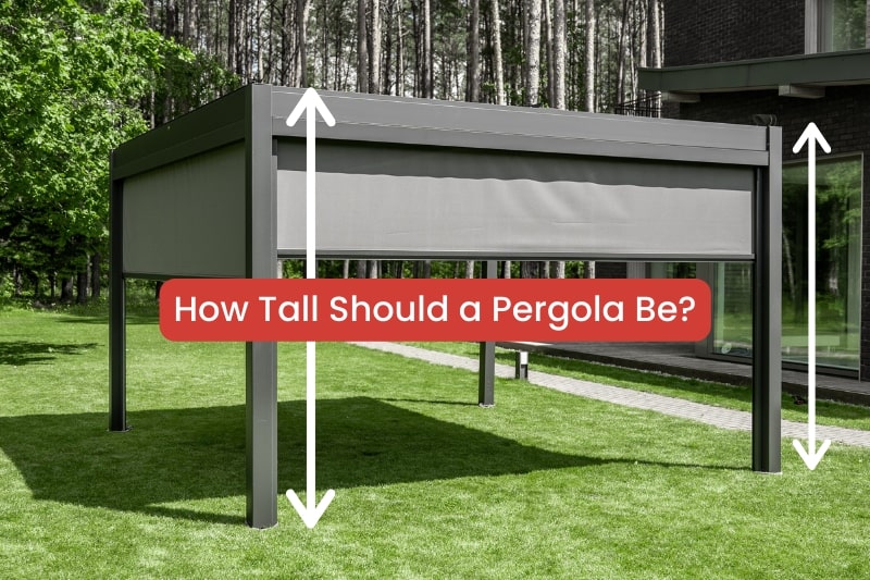 How Tall Should a Pergola Be